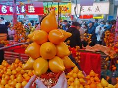 -越秀西湖花市(广州城市广场花卉店)