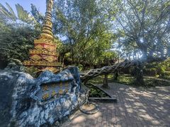 -瑞丽独树成林风景区