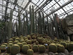 -南山植物园