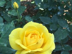 -人民公园(罗湖区)