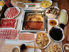 -颐辰舍岁岁羊(文昌万达景园店)