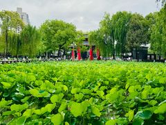 -四川大学(望江校区)