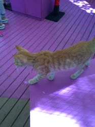 -萌宠亲子动物乐园(槐房万达店)