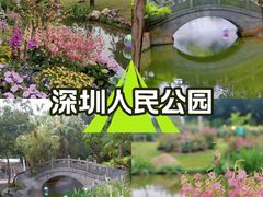 -人民公园(罗湖区)