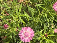 -上海交通大学(闵行校区)