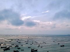 -枸杞岛