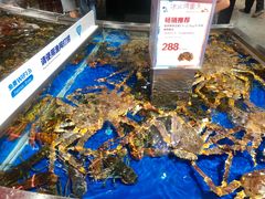 -盒马鲜生(莱蒙都会店)