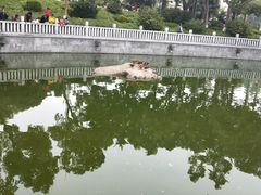 -梵天禅寺