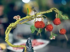 -故里和山·成都火锅(欢乐港湾店)