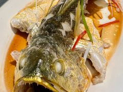 油泼黄花鱼-前海沿·青岛菜(五四广场永旺店)