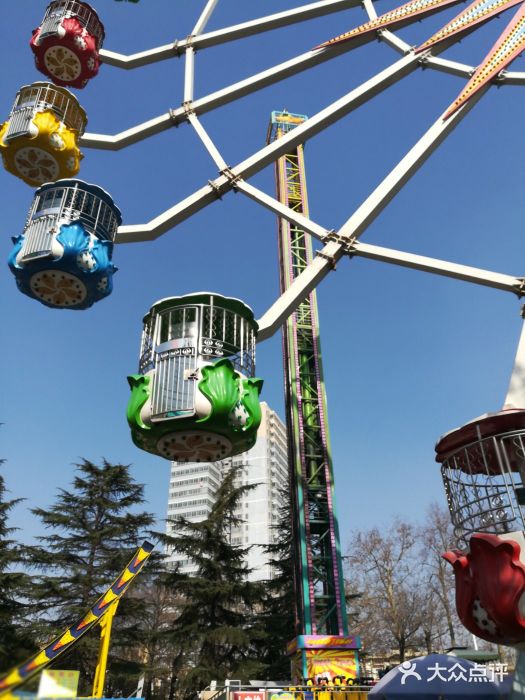 兴庆公园游乐场-图片-西安景点/周边游-大众点评网