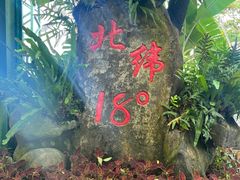 -呀诺达热带雨林