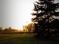 -汉长安城未央宫国家考古遗址公园