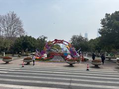 -武汉知音号