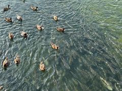 -深圳湾公园(南山区)