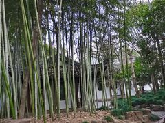 -秋霞圃