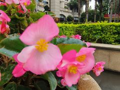 -翠湖宾馆·中餐厅