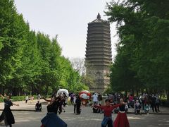 -玲珑塔公园