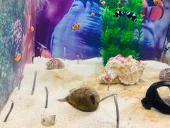 -烟台海昌鲸鲨海洋公园