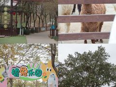 -盈香心动乐园