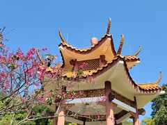 -深圳仙湖植物园