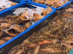 -映像威海·威海宴(威高广场店)