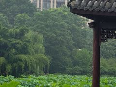 -龙头寺公园