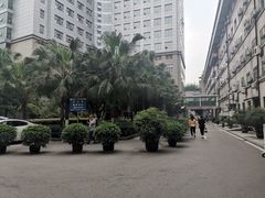 -重庆医科大学附属第一医院(本部)