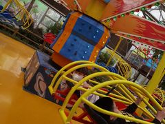 -南宫五洲植物乐园