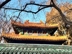 -北京国子监胡同