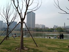 -后襄河公园