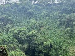-海口火山口国家地质公园