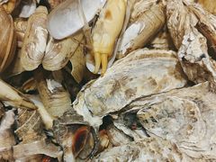 -小螺号海鲜·地道鲁菜(泉城广场店)