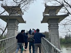 -东湖落雁景区