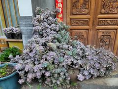 -和顺古镇