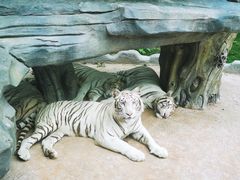 -北京野生动物园