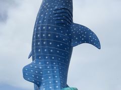 -珠海长隆海洋王国