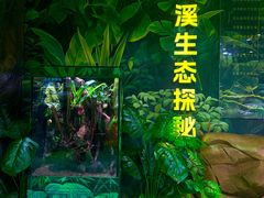-海合安成都极地海洋公园