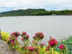 -湖畔居茶楼(湖滨店)