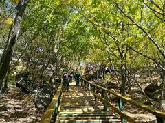 -吉林市朱雀山国家森林公园
