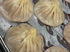 -老班长手工灌汤包老店(东山店)