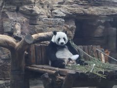 -石家庄市动物园