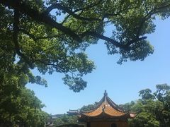 -普济寺素斋