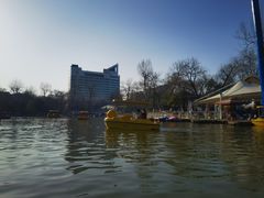 -莲湖公园