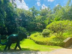 -西双版纳融创皇冠假日度假酒店