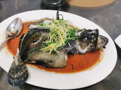 -蚝专家(北滘店)