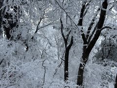 -华山风景名胜区