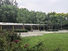 -大望京公园
