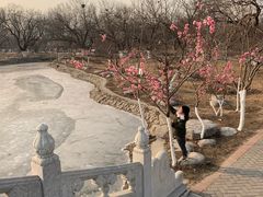 -御林古桑园