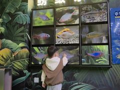 -海合安成都极地海洋公园
